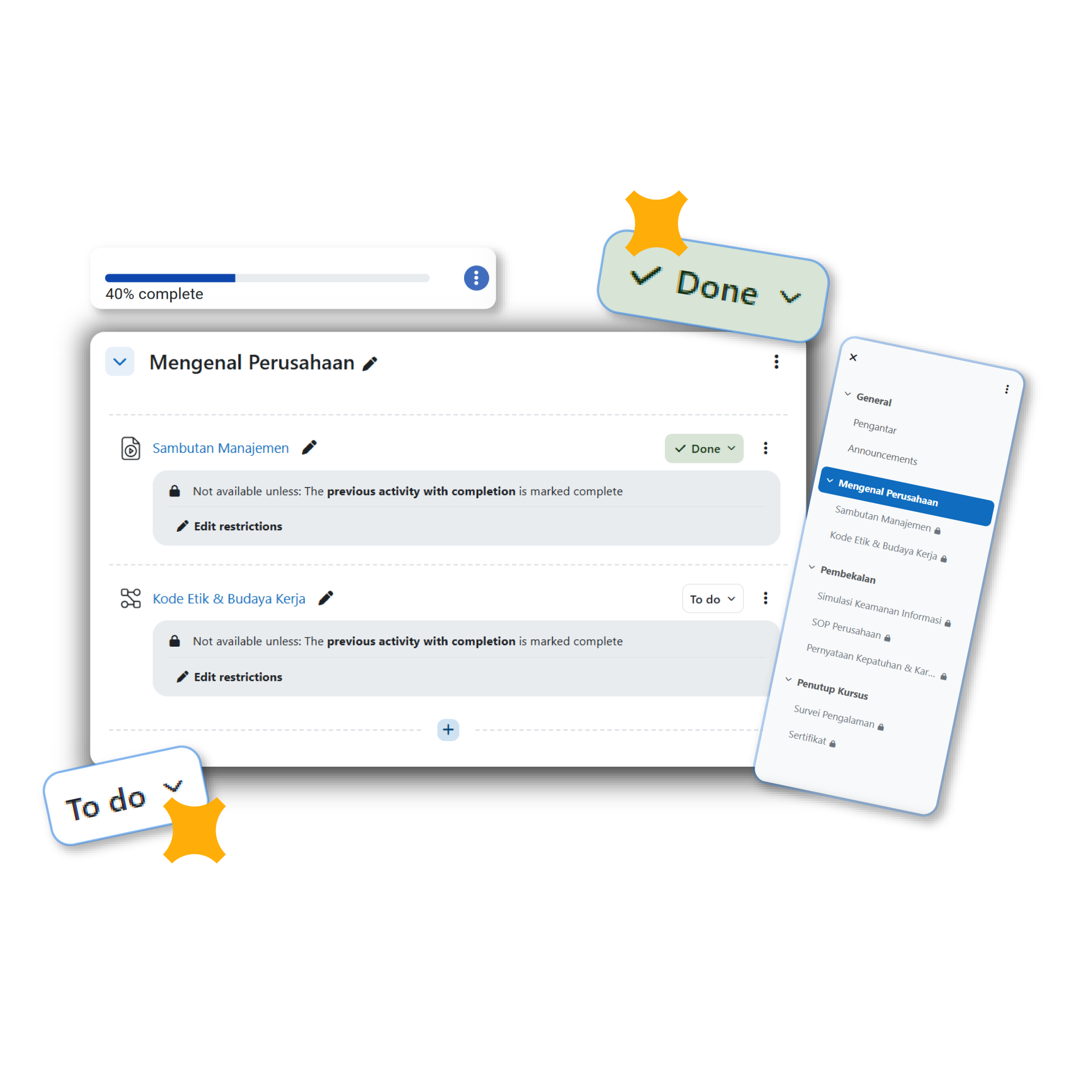 Insights & Progress Tracking